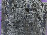 image of grave number 967024
